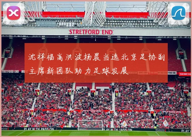 沈祥福高洪波杨晨当选北京足协副主席新团队助力足球发展